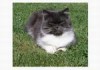 thumb_Mei_050514.11.JPG