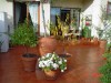 thumb_mi%20terraza%20153.jpg