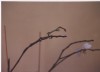 thumb_orquidea3.jpg