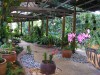 thumb_P9150589.jpg