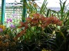 thumb_P9150590.jpg