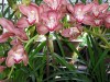 thumb_P9150591.jpg