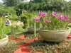 thumb_P9150593.jpg