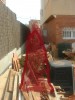 thumb_pasillo%20liquidambar%20v2.jpg