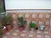 thumb_patio-2%7E0.JPG