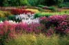 thumb_pensthorpe7.jpg
