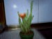 thumb_photo023.jpg