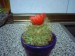 thumb_photo024.jpg