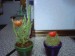 thumb_photo025.jpg