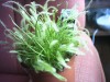 thumb_PHTO0105.JPG