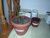 thumb_PIC_0015%7E0.JPG