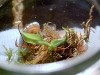 thumb_PICT0003%7E4.JPG