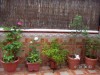 thumb_PICT0003%7E6.JPG