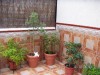 thumb_PICT0004%7E7.JPG