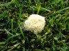 thumb_PICT1602.JPG