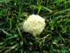 thumb_PICT1603.JPG