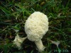 thumb_PICT1618.JPG