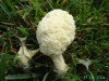 thumb_PICT1622.JPG