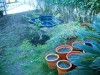 thumb_prueba%201%20estanque%20pk.JPG