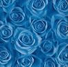 thumb_rosas%20azules%202.jpg