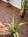 thumb_verano2003%20-invierno2004%20%28752%29.jpg