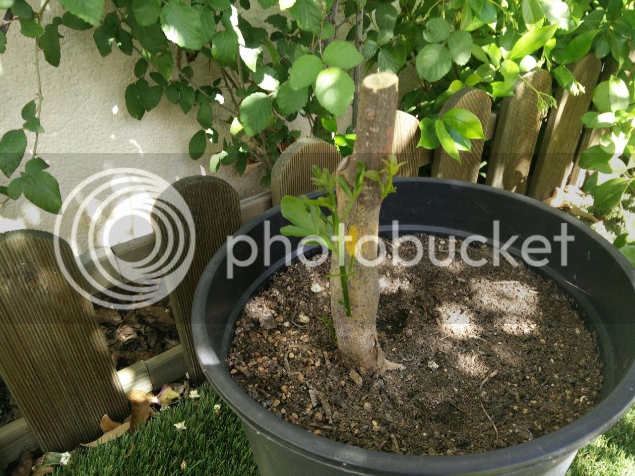 thumbnail_IMG_20190519_113636.jpg