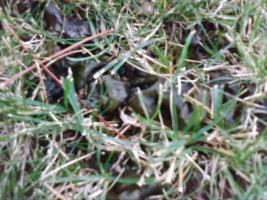 thump_1152450foto0083.jpg