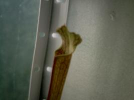 thump_490599crim0115.jpg