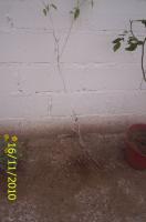 thump_5529215antas-010.jpg