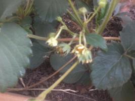 thump_6329827foto0009.jpg