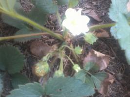 thump_6329829foto0010.jpg