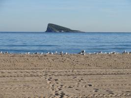 thump_7237879isladebenidorm.jpg