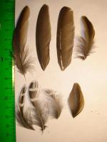 thump_8180771dsc02398.jpg