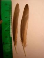 thump_8187754dsc02449.jpg