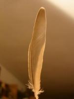 thump_8187756dsc02457.jpg
