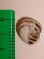 thump_8210772dsc02764.jpg