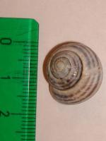 thump_8210774dsc02767.jpg