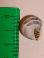 thump_8210777dsc02769.jpg