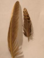 thump_8210793dsc02783.jpg