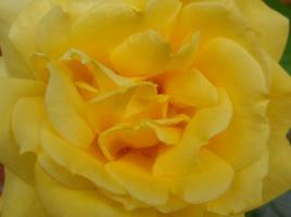 thump_8248978dscn2254-copia.jpg