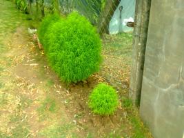 thump_8292027foto0209.jpg