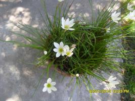 thump_8330950anta.jpg