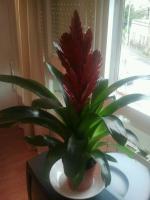 thump_8410406img20130429wa0000.jpg