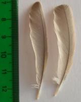 thump_8491520dsc05261.jpg