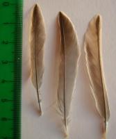 thump_8491522dsc05260.jpg