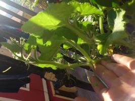 thump_854492820130718-19.jpg