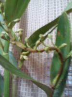 thump_8550481dsc00183.jpg