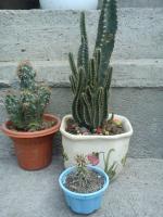 thump_8554642dsc00058.jpg