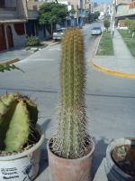 thump_8554652dsc00064.jpg