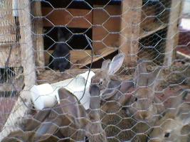 thump_8630485foto0027-2.jpg